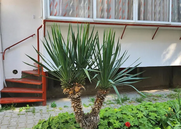 Studio 7A Cozy Central Oasis アパート ヴァルナ