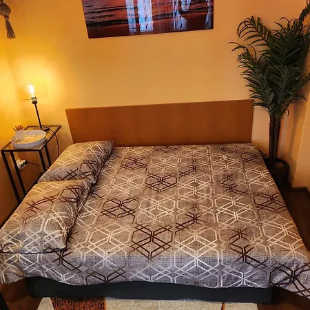 7a Cozy Affordable Oasis *