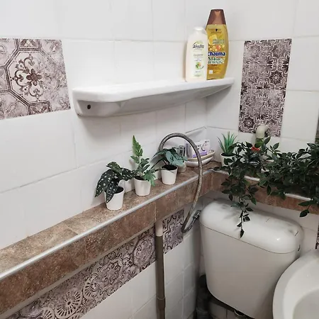 7a Cozy Oasis Lejlighed
